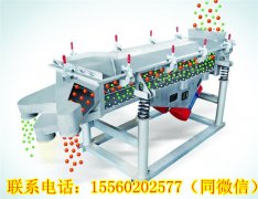 湖南王總需要的DZSF直線振動篩今天發貨！